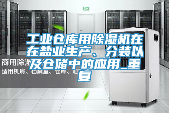 工業(yè)倉庫用除濕機在在鹽業(yè)生產(chǎn)、分裝以及倉儲中的應(yīng)用_重復(fù)