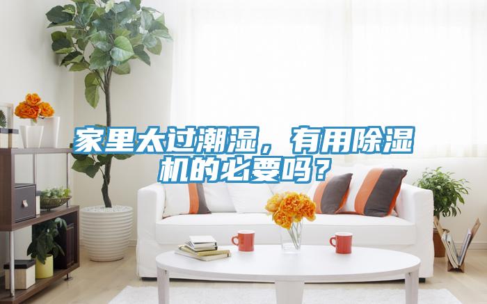 家里太過潮濕，有用除濕機(jī)的必要嗎？