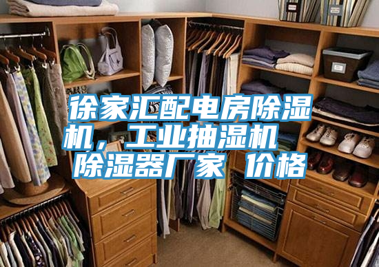 徐家匯配電房除濕機(jī)，工業(yè)抽濕機(jī)  除濕器廠家 價(jià)格