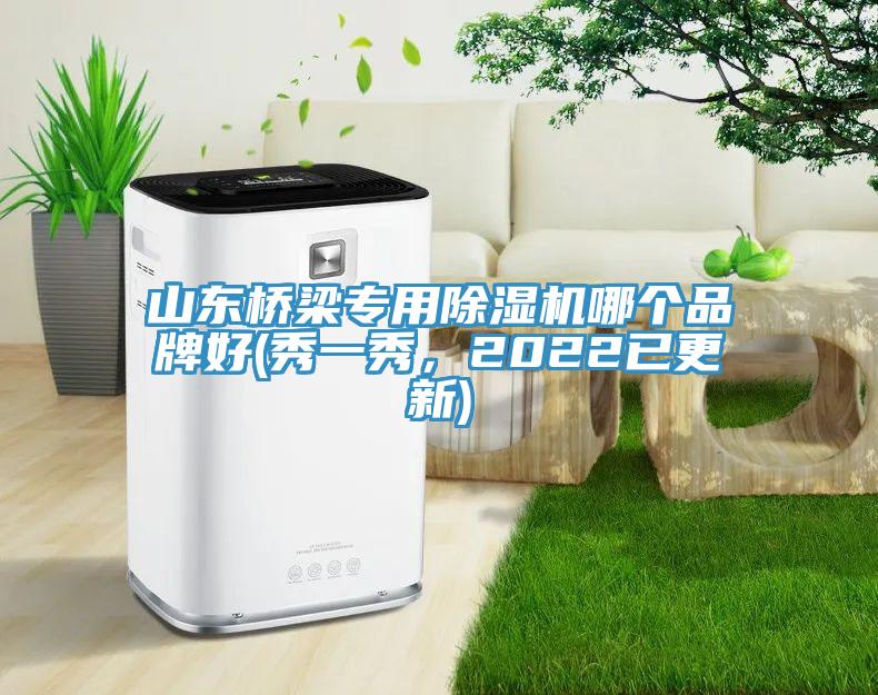 山東橋梁專用除濕機哪個品牌好(秀一秀，2022已更新)