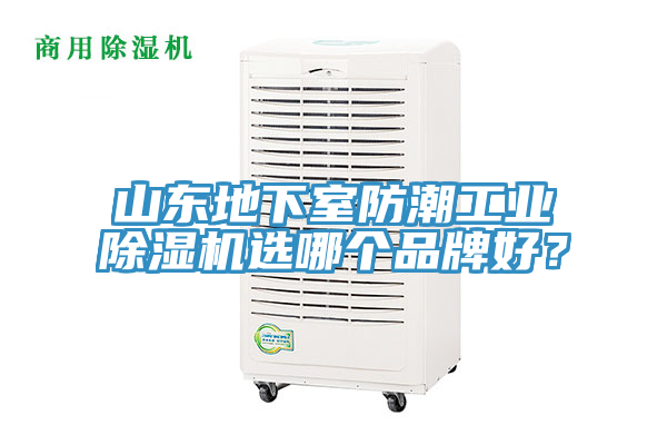 山東地下室防潮工業(yè)除濕機(jī)選哪個品牌好？