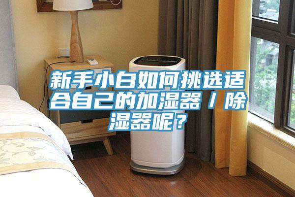 新手小白如何挑選適合自己的加濕器／除濕器呢？