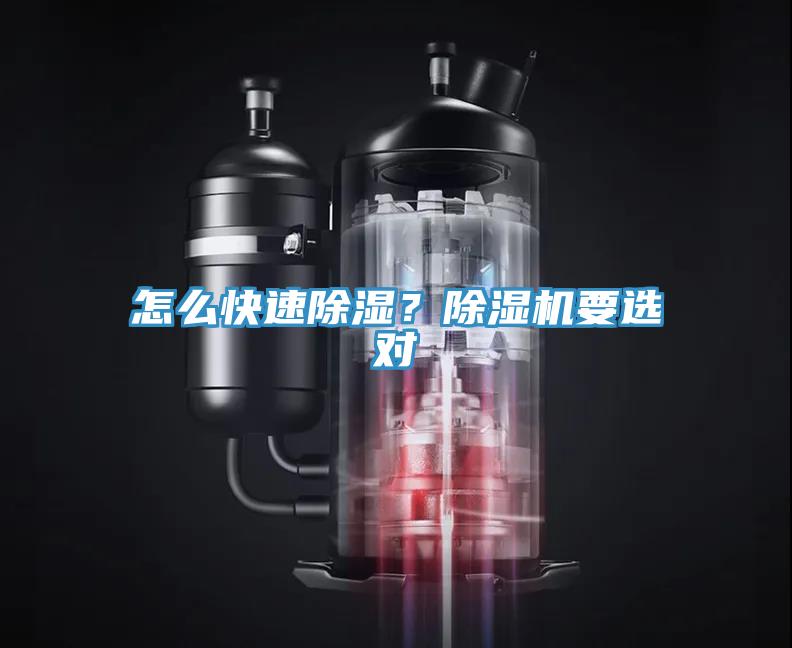怎么快速除濕？除濕機要選對