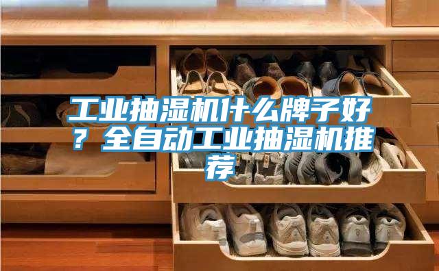 工業(yè)抽濕機什么牌子好？全自動工業(yè)抽濕機推薦