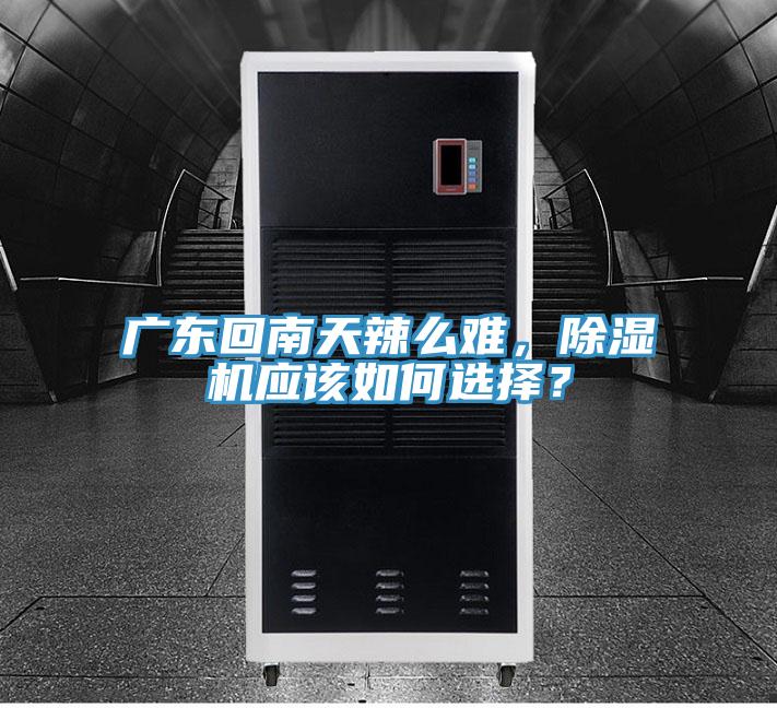 廣東回南天辣么難，除濕機(jī)應(yīng)該如何選擇？