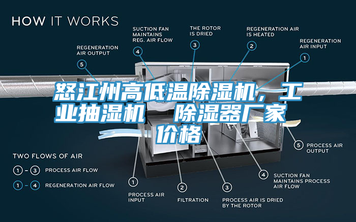 怒江州高低溫除濕機，工業(yè)抽濕機  除濕器廠家 價格