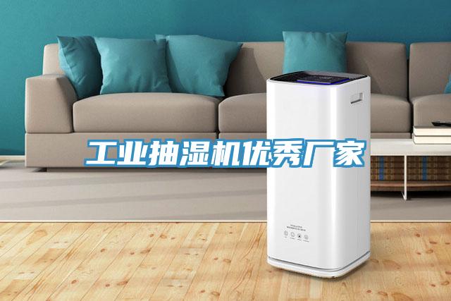 工業(yè)抽濕機優(yōu)秀廠家