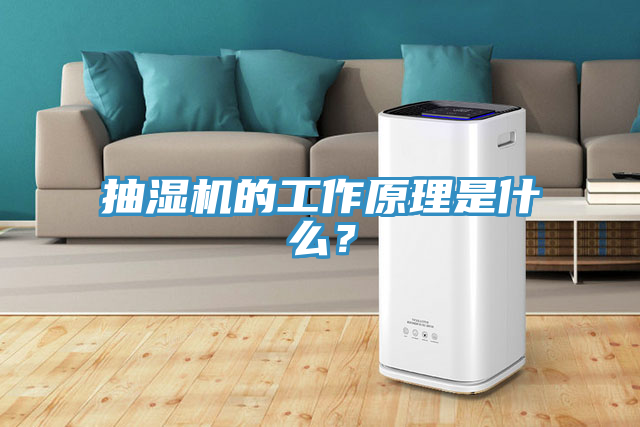 抽濕機(jī)的工作原理是什么？