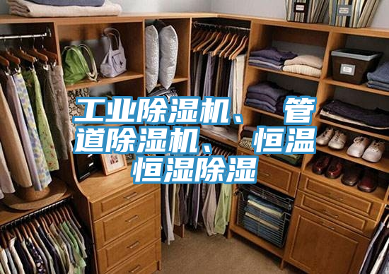 工業(yè)除濕機(jī)、 管道除濕機(jī)、 恒溫恒濕除濕