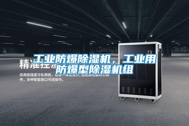 工業(yè)防爆除濕機(jī)，工業(yè)用防爆型除濕機(jī)組