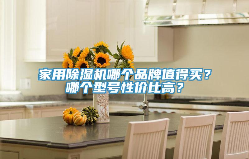 家用除濕機哪個品牌值得買？哪個型號性價比高？