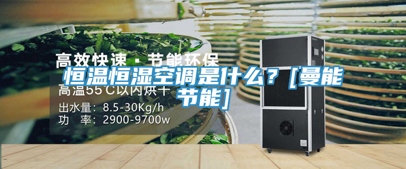 恒溫恒濕空調(diào)是什么？[曼能節(jié)能]