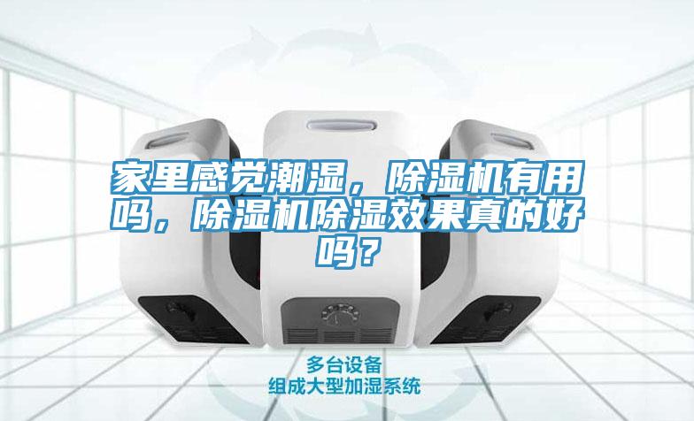 家里感覺潮濕，除濕機(jī)有用嗎，除濕機(jī)除濕效果真的好嗎？
