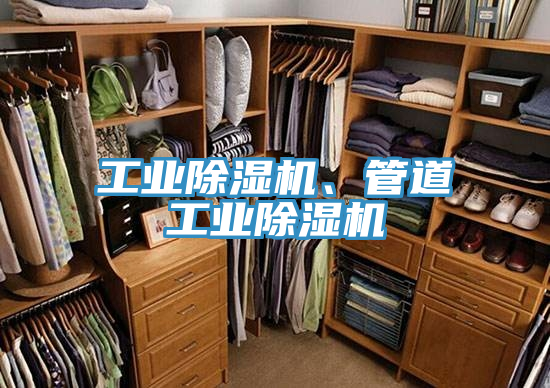 工業(yè)除濕機(jī)、管道工業(yè)除濕機(jī)
