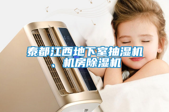 泰都江西地下室抽濕機、機房除濕機