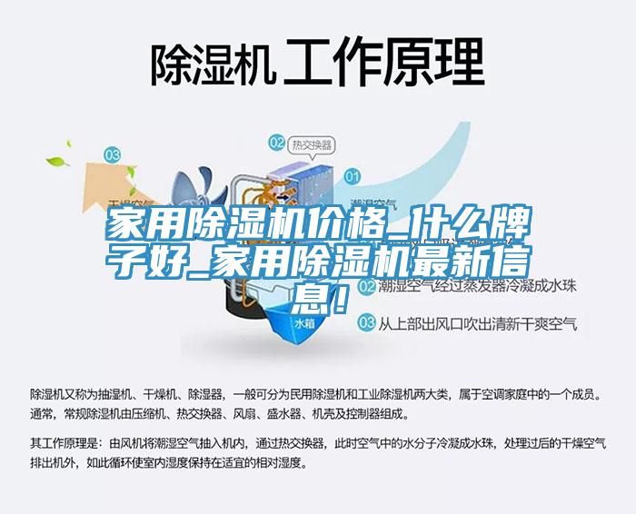 家用除濕機(jī)價(jià)格_什么牌子好_家用除濕機(jī)最新信息！