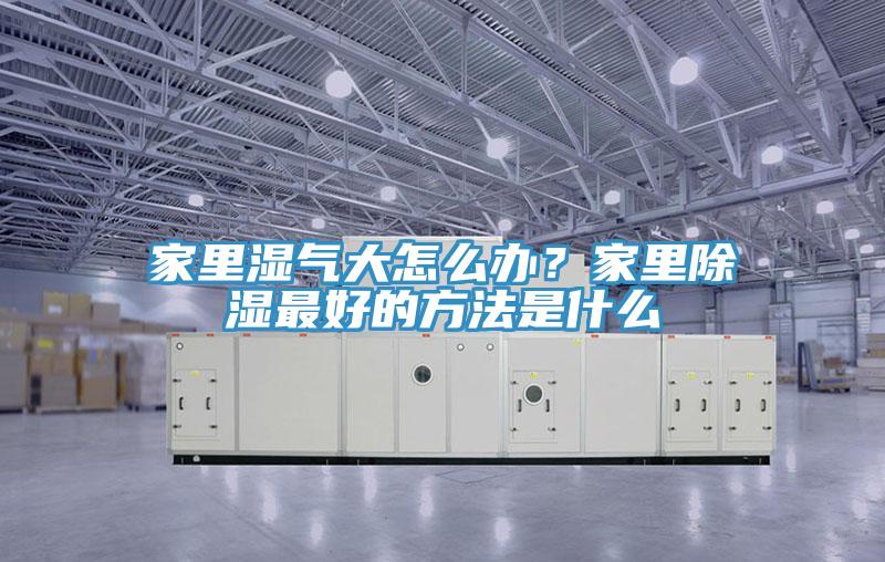 家里濕氣大怎么辦？家里除濕最好的方法是什么