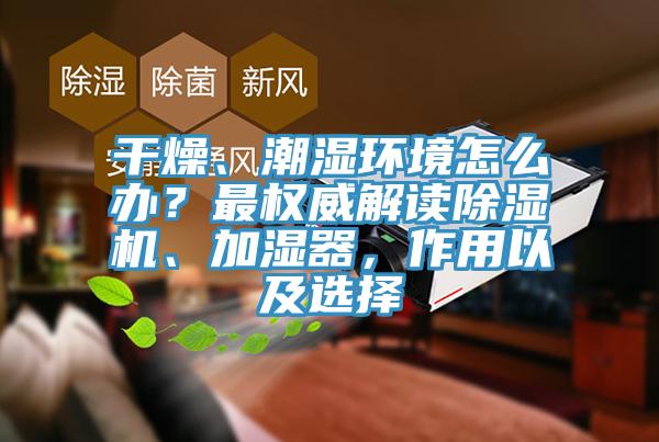 干燥、潮濕環(huán)境怎么辦？最權(quán)威解讀除濕機、加濕器，作用以及選擇