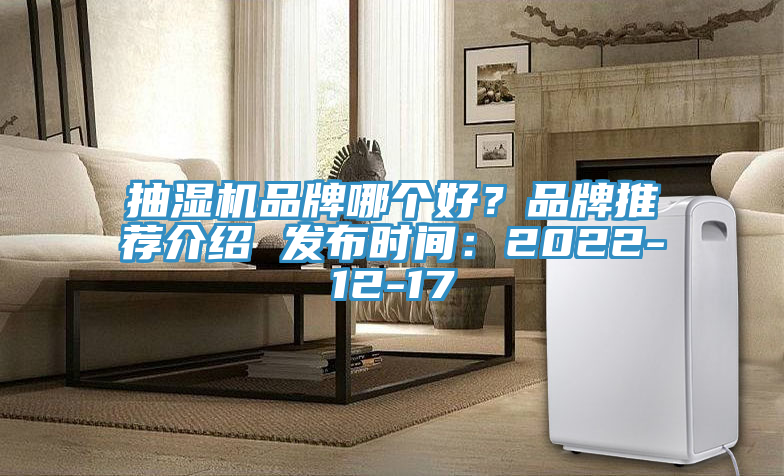 抽濕機(jī)品牌哪個(gè)好？品牌推薦介紹 發(fā)布時(shí)間：2022-12-17