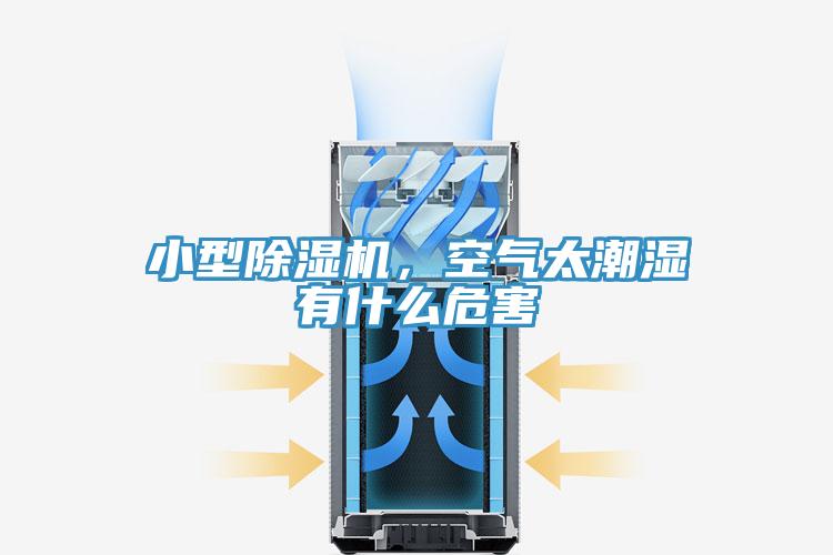 小型除濕機，空氣太潮濕有什么危害
