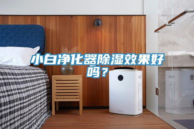 小白凈化器除濕效果好嗎？
