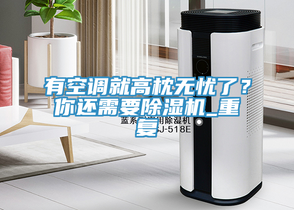 有空調(diào)就高枕無憂了？你還需要除濕機(jī)_重復(fù)
