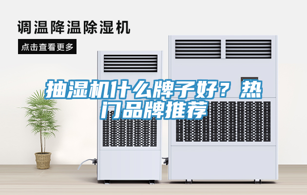 抽濕機(jī)什么牌子好？熱門品牌推薦