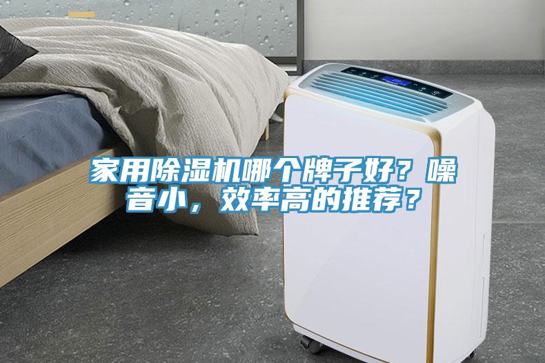 家用除濕機(jī)哪個(gè)牌子好？噪音小，效率高的推薦？
