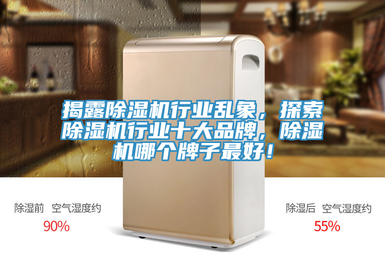 揭露除濕機(jī)行業(yè)亂象，探索除濕機(jī)行業(yè)十大品牌，除濕機(jī)哪個(gè)牌子最好！