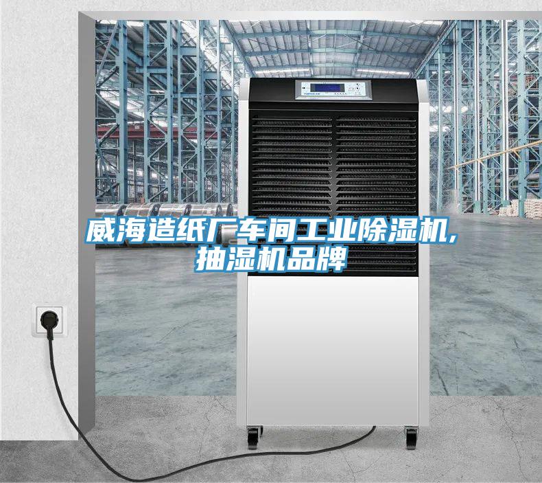 威海造紙廠車(chē)間工業(yè)除濕機(jī),抽濕機(jī)品牌