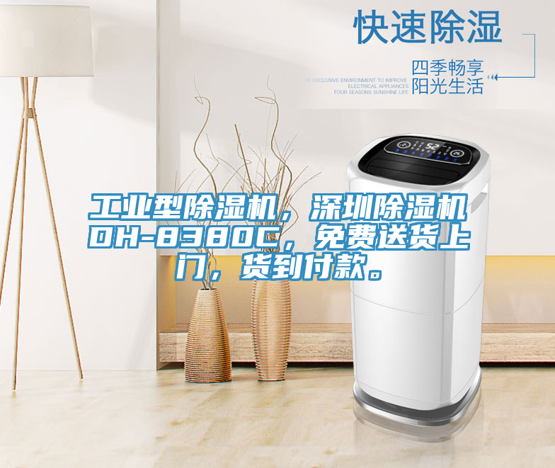 工業(yè)型除濕機，深圳除濕機DH-8380C，免費送貨上門，貨到付款。
