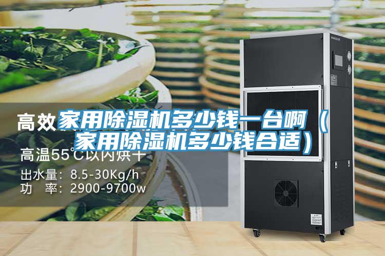 家用除濕機多少錢一臺?。矣贸凉駲C多少錢合適）