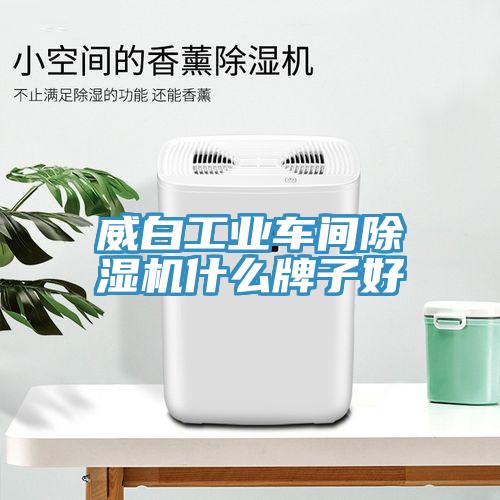 威白工業(yè)車(chē)間除濕機(jī)什么牌子好
