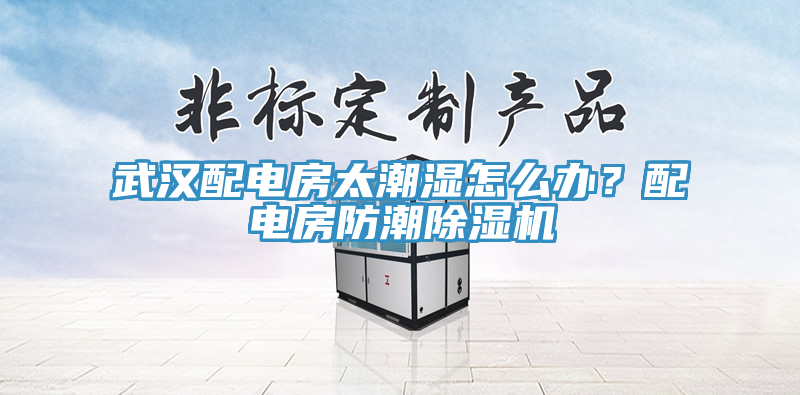武漢配電房太潮濕怎么辦？配電房防潮除濕機(jī)