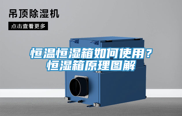 恒溫恒濕箱如何使用？恒濕箱原理圖解