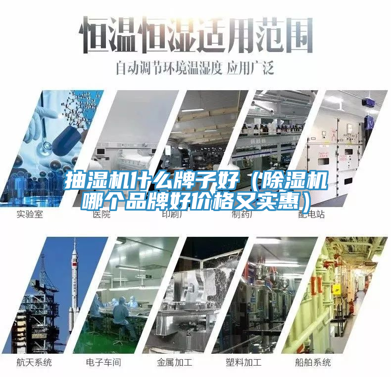 抽濕機(jī)什么牌子好（除濕機(jī)哪個品牌好價格又實(shí)惠）