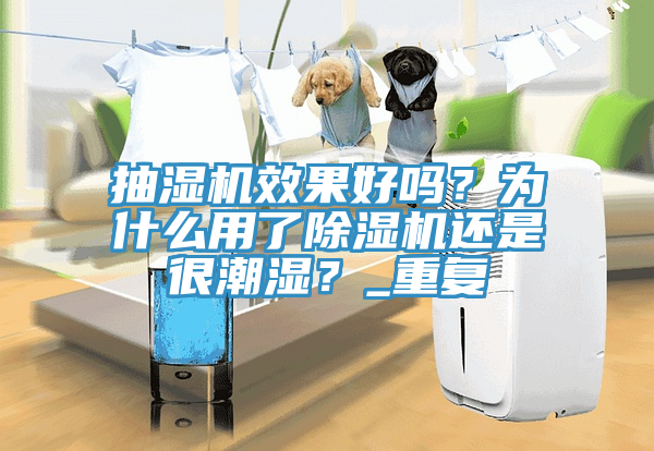 抽濕機效果好嗎？為什么用了除濕機還是很潮濕？_重復