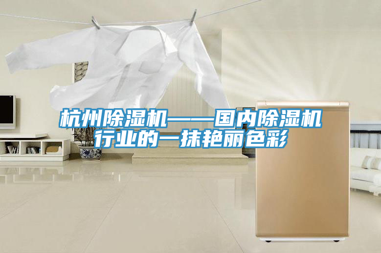 杭州除濕機——國內除濕機行業(yè)的一抹艷麗色彩