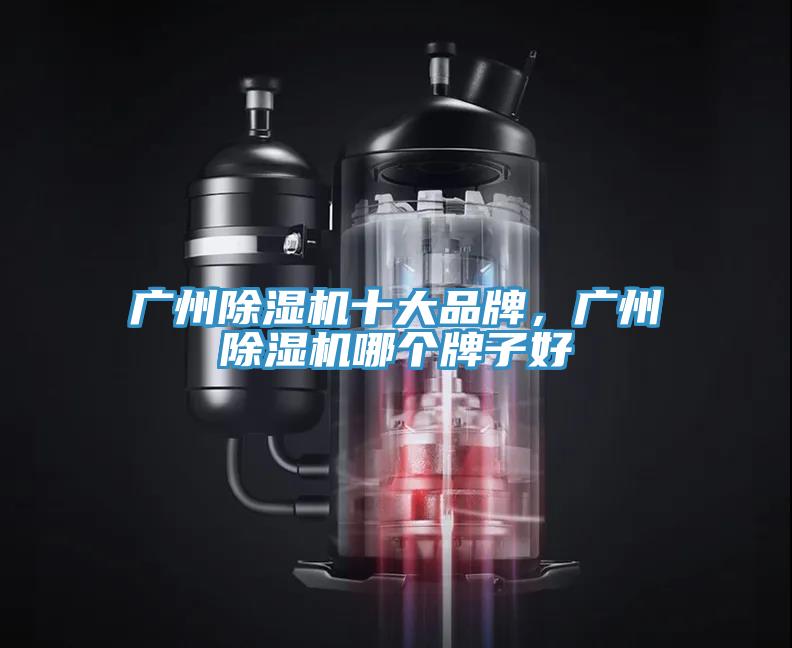 廣州除濕機(jī)十大品牌，廣州除濕機(jī)哪個牌子好