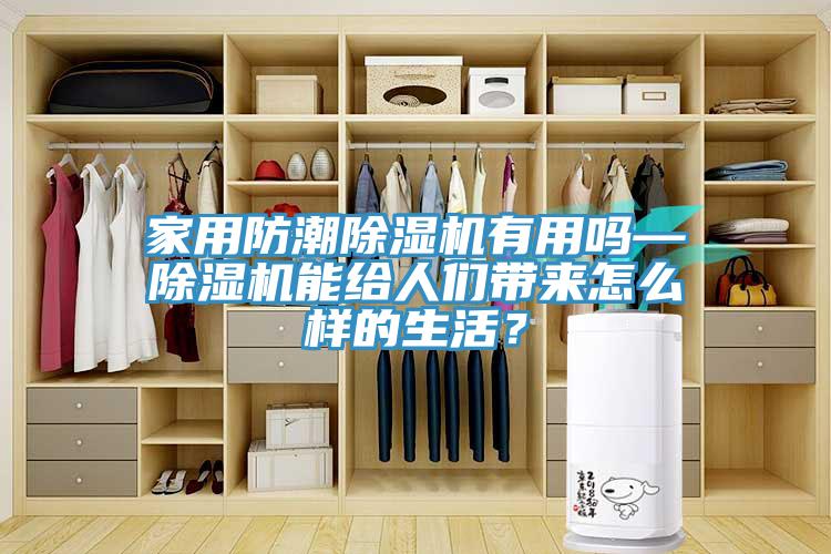 家用防潮除濕機有用嗎—除濕機能給人們帶來怎么樣的生活？