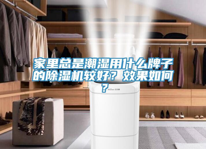 家里總是潮濕用什么牌子的除濕機(jī)較好？效果如何？