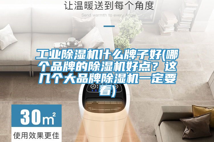 工業(yè)除濕機(jī)什么牌子好(哪個(gè)品牌的除濕機(jī)好點(diǎn)？這幾個(gè)大品牌除濕機(jī)一定要看)