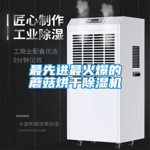 最先進(jìn)最火爆的蘑菇烘干除濕機