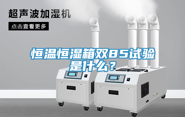 恒溫恒濕箱雙85試驗(yàn)是什么？