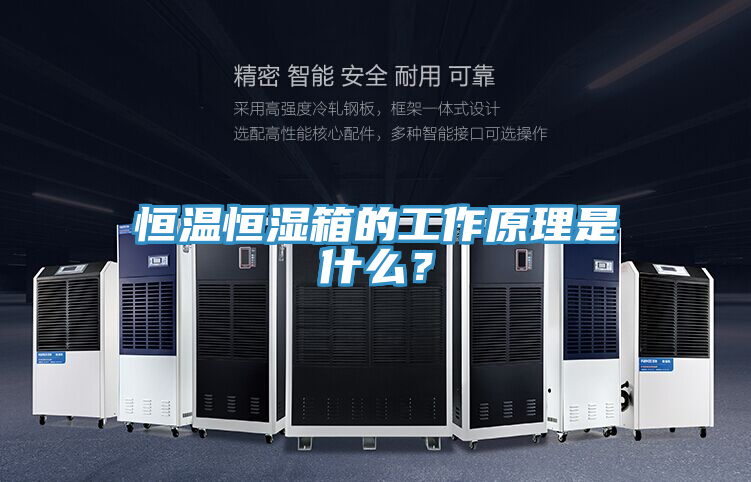恒溫恒濕箱的工作原理是什么？