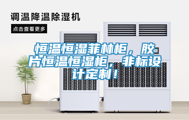 恒溫恒濕菲林柜，膠片恒溫恒濕柜，非標設(shè)計定制！