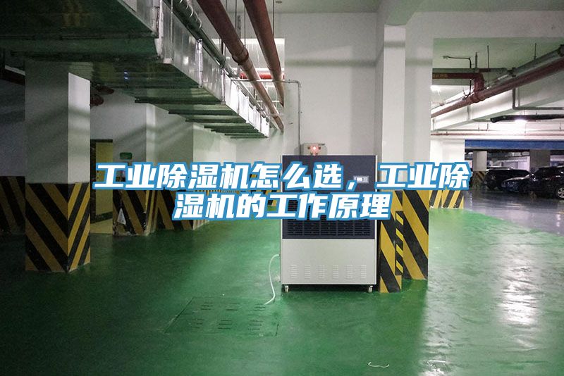工業(yè)除濕機(jī)怎么選，工業(yè)除濕機(jī)的工作原理