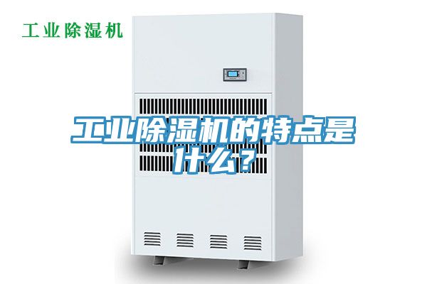 工業(yè)除濕機(jī)的特點是什么？