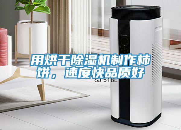 用烘干除濕機(jī)制作柿餅，速度快品質(zhì)好