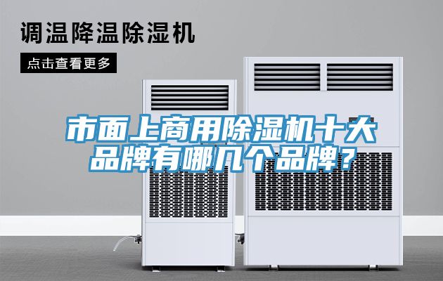 市面上商用除濕機十大品牌有哪幾個品牌？